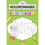 KOLOROWANKI A5 - 8 obrazków - Liście drzew w sklepie internetowym Polskie-zabawki.pl