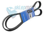 Pasek wielorowkowy SKF SEAT LEON w sklepie internetowym Sklepmoto.eu