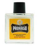 Proraso Balsam do brody Wood & Spice 100ml w sklepie internetowym Kalamis.pl