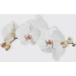 Marisol White Flower Centro 25x40 w sklepie internetowym dekordia.pl