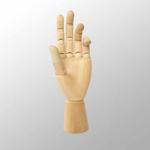 Drewniany model dłoni LENIAR - 29,5cm - prawa w sklepie internetowym Świat Artysty 