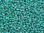 TOHO Round 11o-PF569 Permanent Finish - Galvanized Teal - 10 g w sklepie internetowym Kadoro.pl