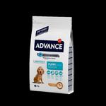 ADVANCE Puppy Protect Medium - sucha karma dla szczeniąt ras średnich 3kg [507319] w sklepie internetowym sklepdlazwierzat.net