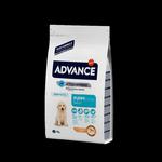 ADVANCE Puppy Protect Maxi - sucha karma dla szczeniąt ras dużych 3kg [513319] w sklepie internetowym sklepdlazwierzat.net