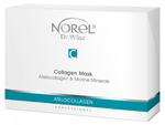 Norel (Dr Wilsz) COLLAGEN MASK Maska kolagenowa w płacie (PN012) w sklepie internetowym MadRic.pl