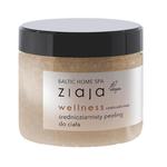 Ziaja baltic home spa wellness średnioziarnisty peeling do ciała czekolada kawa 300ml w sklepie internetowym Fashionup.pl