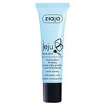 Ziaja jeju fluid-korektor do twarzy z nutą mięty granatu i czarnej porzeczki odcień naturalny 30ml w sklepie internetowym Fashionup.pl