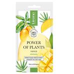 Lirene power of plants energetyzująca maska do twarzy mango 17g w sklepie internetowym Fashionup.pl