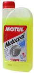 Płyn do chłodnic Motul Motocool Expert w sklepie internetowym Motorfun