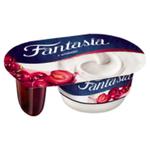 Danone Fantasia Jogurt kremowy z wiśniami w sklepie internetowym E-Szop 