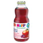 HiPP BIO Herbatka & Sok Bio z dzikiej róży z sokiem z czerwonych owoców po 4. miesiącu w sklepie internetowym E-Szop 