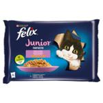 Felix Fantastic Junior Karma dla kociąt wybór smaków w galaretce z kurczakiem i łososiem w sklepie internetowym E-Szop 