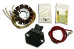 Electrex G149+RR58 stator uzwojenie alternatora plus regulator KTM EXC 2T 250 08-17 EXC300 08-15, FREERIDE 250 14, EXC200 13-15 , SX 144 08, HUSABERG Electrex G149+RR58 stator uzwojenie alternatora w sklepie internetowym Motorus.pl