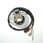 ELECTROSPORT ESL235 Stator uzwojenie alternatora ze światłami KTM 125/200/300/380 Motocyklowe uzwojenie alternatora STATOR w NAJLEPSZEJ CENIE z RABATEM w sklepie motocyklowym MOTORUS.PL w sklepie internetowym Motorus.pl