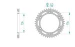 AFAM 14206-48 zębów zębatka TYŁ stalowa C45N hartowana indukcyjnie, 520 standard galwanizowana, srebrna AFAM 14206-48 zębów zębatka TYŁ stalowa C45N hartowana indukcyjnie, 520 standard galwanizowana w sklepie internetowym Motorus.pl