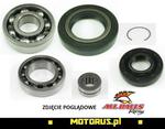 ALL BALLS zestaw naprawczy dyferencjału PRZEDNIEGO KAWASAKI KVF 360/650/750, SUZUKI ALL BALLS zestaw naprawczy dyferencjału PRZEDNIEGO KAWASAKI KVF 360/650/750, SUZUKI MOTORUS.PL w sklepie internetowym Motorus.pl