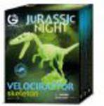 GeoWorld Świecący w ciemności szkielet Velociraptora CL142 w sklepie internetowym Malutek