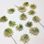 Kwiaty suszone KONICZYNA (śr.1-2cm) 8 szt - 1 op w sklepie internetowym Image-Arte