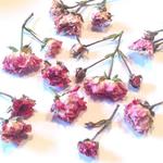 Kwiaty suszone róże miniaturowe różowe (ok.1-1.5 cm) na łodyżkach 6 szt - 1 op w sklepie internetowym Image-Arte