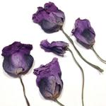 MAK fioletowy kwiat 4-6 x 2,5-4 cm 2 szt - 1 op w sklepie internetowym Image-Arte