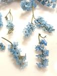 kwiaty suszone , 3D blue 10 pęczków pęcz: 1- 2,5 cm - 1 op w sklepie internetowym Image-Arte