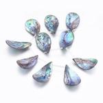 Muszla Naturalna ABALONE - PAUA 35-39x19-23x3-6 mm DROP - 1 szt w sklepie internetowym Image-Arte