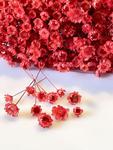 kwiaty suszone GLIXIA , czerwony ( kwiat 0,5-1,2 cm ) gał. 3-10 cm - 20 szt - 1 op w sklepie internetowym Image-Arte