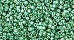 Toho Treasure 11/0 Galvanized Green Teal TT-11-561 gram w sklepie internetowym Image-Arte