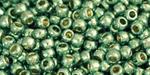 Toho Round 11/0 Permanent Finish Galvanized Mint Green TR-11-PF570 10 gram w sklepie internetowym Image-Arte