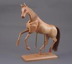 Drewniany model konia duży w sklepie internetowym ArtEquipment.pl