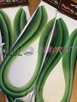 Quilling-paski - 3,5,10 mm odcienie zieleni w sklepie internetowym TuLuz.pl