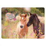 Podkładka laminowana BackUP HORSES Konie (PLAKO24) w sklepie internetowym Tornistry.com.pl