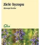 Hyzop ziele 50 g w sklepie internetowym szm-melisa.pl