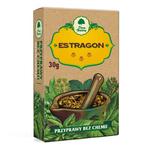 Estragon 30 g w sklepie internetowym szm-melisa.pl