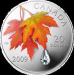 Kanada - 2009, 20 dolarów - Kropla deszczu - Jesienny liść klonu w sklepie internetowym Numizmatyka24.pl