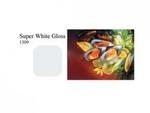 Colorgloss Super White 1x1.3m tło plastikowe w sklepie internetowym Cyfrowe.pl