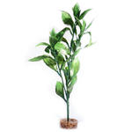Magnolia Leaf - sztuczna roślinka do akwarium w sklepie internetowym EasyPet.pl