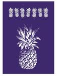 Szablon: Ananas, A4 + rakla [45-089-000] w sklepie internetowym KreatywnySwiat.pl