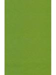 Filc poliestrowy, 3 mm, antyczna zieleń, 75x50 cm [53-648-84] w sklepie internetowym KreatywnySwiat.pl