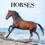 Horses – Pferde 2024 calendar konie kalendarz 30x30 w sklepie internetowym Ukarola.pl 
