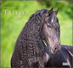 Friesen 2022 – Edle Pferde – Fotografiert von Christiane Slawik calendar konie horses w sklepie internetowym Ukarola.pl 