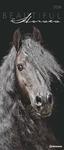 Beautiful Horses 2024 Foto calendar 30x70 konie w sklepie internetowym Ukarola.pl 
