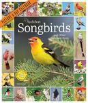 Audubon Songbirds and Other Backyard Birds Picture-A-Day Wall Calendar 2024 ptaki w sklepie internetowym Ukarola.pl 
