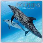 Dolphins – Delfine – Delphine 2024 calendar 30x30 delfiny w sklepie internetowym Ukarola.pl 