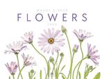 Flowers - Mandy Disher - calendar 2024 kwiaty 50x66 w sklepie internetowym Ukarola.pl 