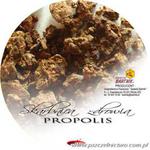 Skarbnica zdrowia -PROPOLIS w sklepie internetowym Pszczelnictwo.com.pl