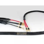 Purist Audio Design NEPTUNE DIAMOND 2 x 2m Kabel głośnikowy Bi-Wire Salon Poznań Wrocław w sklepie internetowym audioplaza.pl