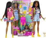 Mattel Barbie Kemping Barbie Brooklyn Lalka + Akcesoria HDF74 w sklepie internetowym Asplaneta.pl