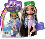 Mattel Barbie Extra Minis Lalka + Akcesoria HGP64 HGP62 w sklepie internetowym Asplaneta.pl