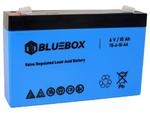 BLUEBOX Akumulator Żelowy VRLA AGM 6V10Ah Do Auta Na Akumulator w sklepie internetowym Asplaneta.pl